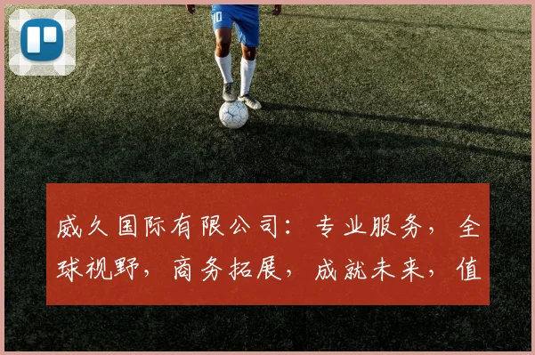 威久国际有限公司：专业服务，全球视野，商务拓展，成就未来，值得信赖的合作伙伴