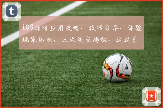 iOS麻将应用攻略，技巧分享，体验玩家热议，三大亮点揭秘，逗逗乐玩转江湖