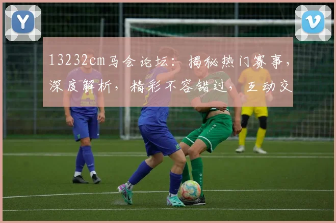 13232cm马会论坛：揭秘热门赛事，深度解析，精彩不容错过，互动交流两不误