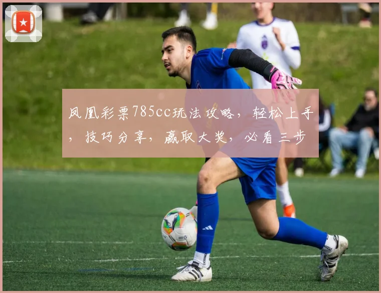 凤凰彩票785cc玩法攻略，轻松上手，技巧分享，赢取大奖，必看三步
